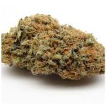 Шишки AK47 (Гидропоника, Бошка) VHQ в Димитровграде Шишки AK47 (Гидропоника, Бошка) VHQ в Димитровграде