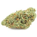 Шишки OG Kush (Гидропоника, бошки) VHQ в Димитровграде Шишки OG Kush (Гидропоника, бошки) VHQ в Димитровграде